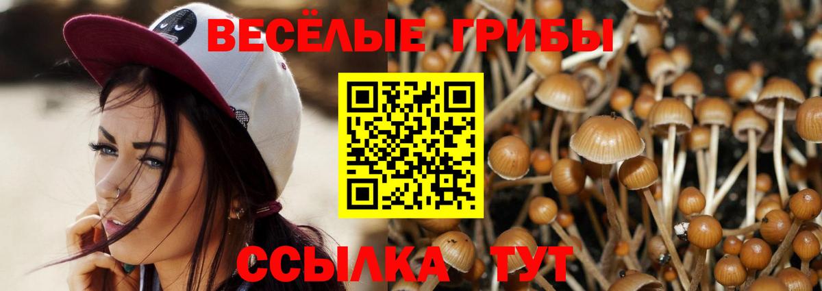 Конаково  Псилоцибиновые грибы MAGIC MUSHROOMS  цены наркотик  Вход с VPN 